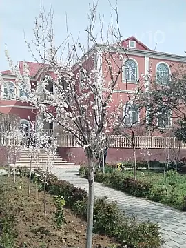 Satılır 10 otaqlı həyət evi 650 m² — Bakı, Binəqədi 10 otaq 650.00 m²