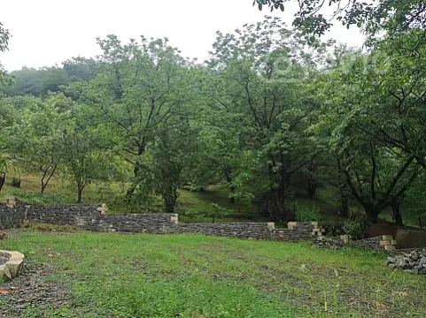 Satılır torpaq sahəsi — Qəbələ