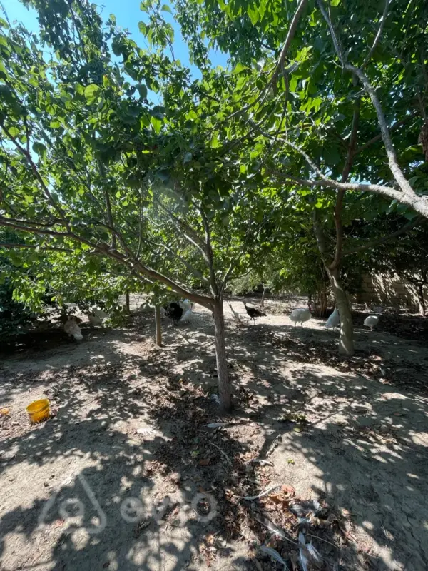 Satılır 5 otaqlı həyət evi 200 m²