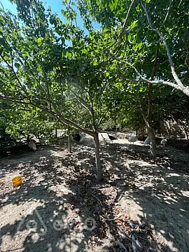 Satılır 5 otaqlı həyət evi 200 m² — Bakı, Abşeron 5 otaq 200.00 m²