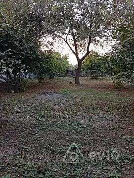 Satılır torpaq sahəsi — Oğuz