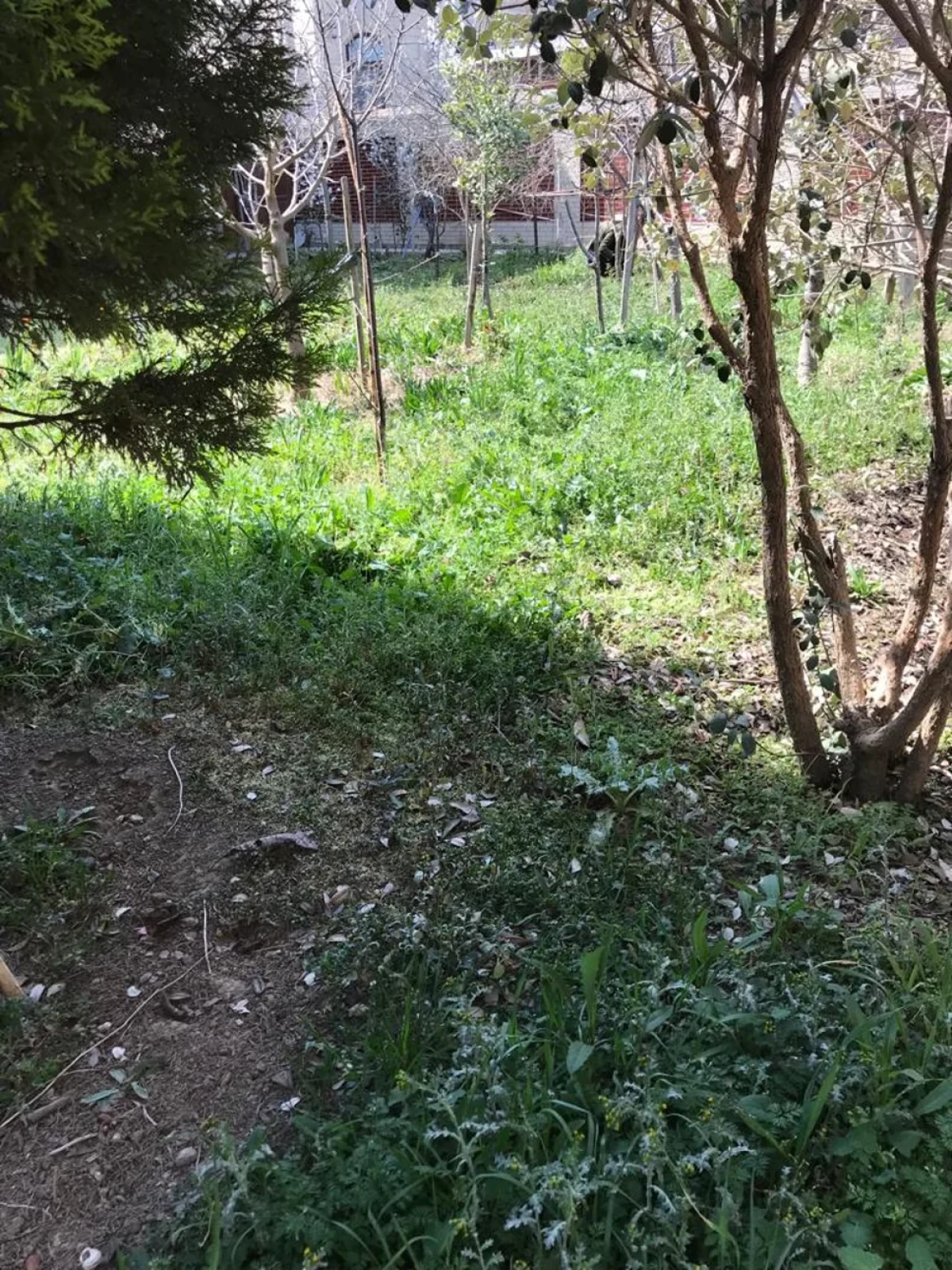 Satılır 6 otaqlı həyət evi 300 m²