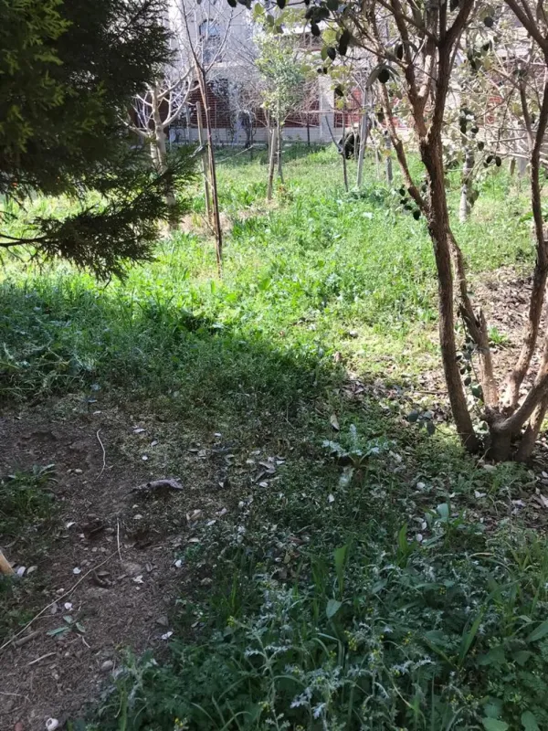 Satılır 6 otaqlı həyət evi 300 m²