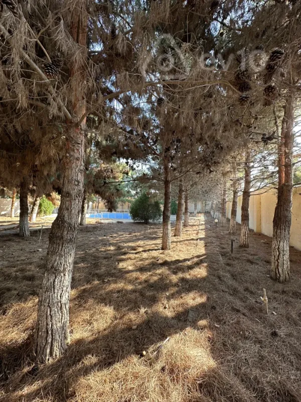 Satılır 7 otaqlı həyət evi 480 m²