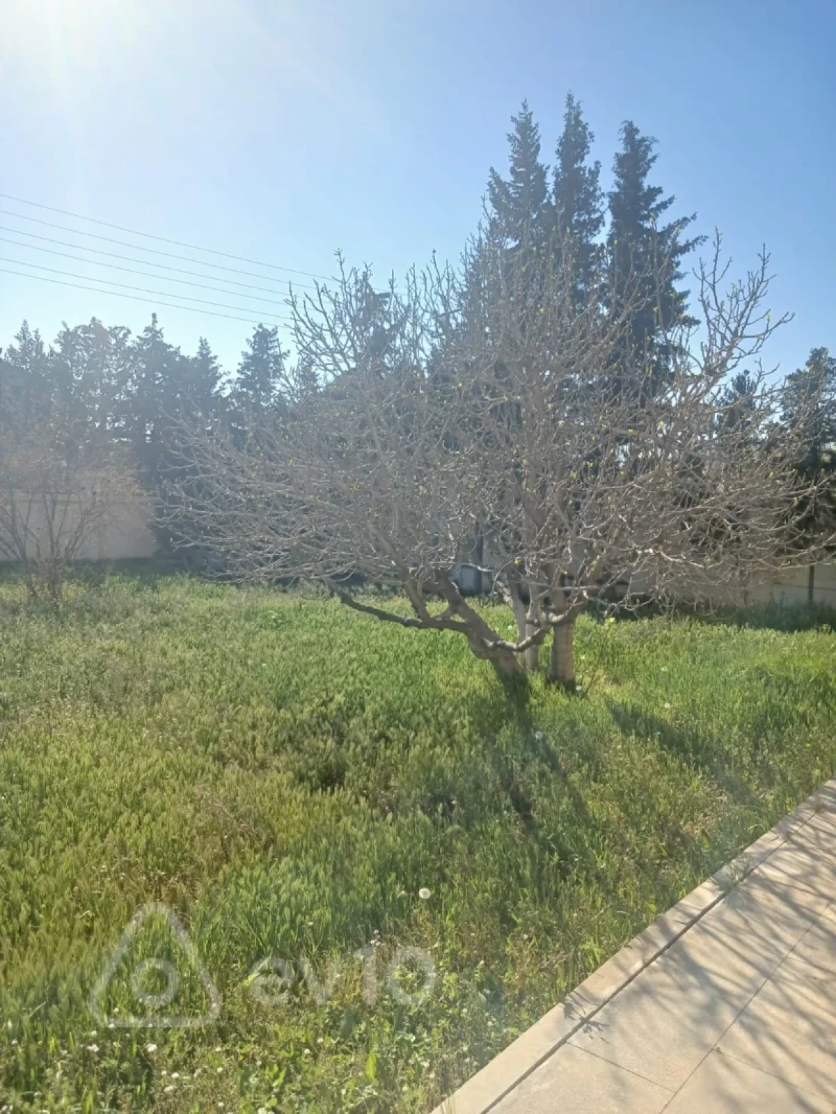 Satılır 8 otaqlı həyət evi 1000 m²