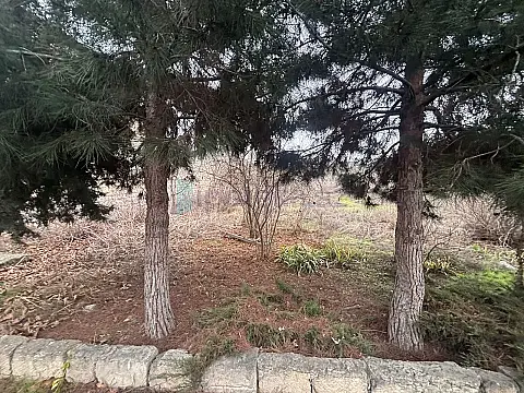 Satılır torpaq sahəsi 6 m²