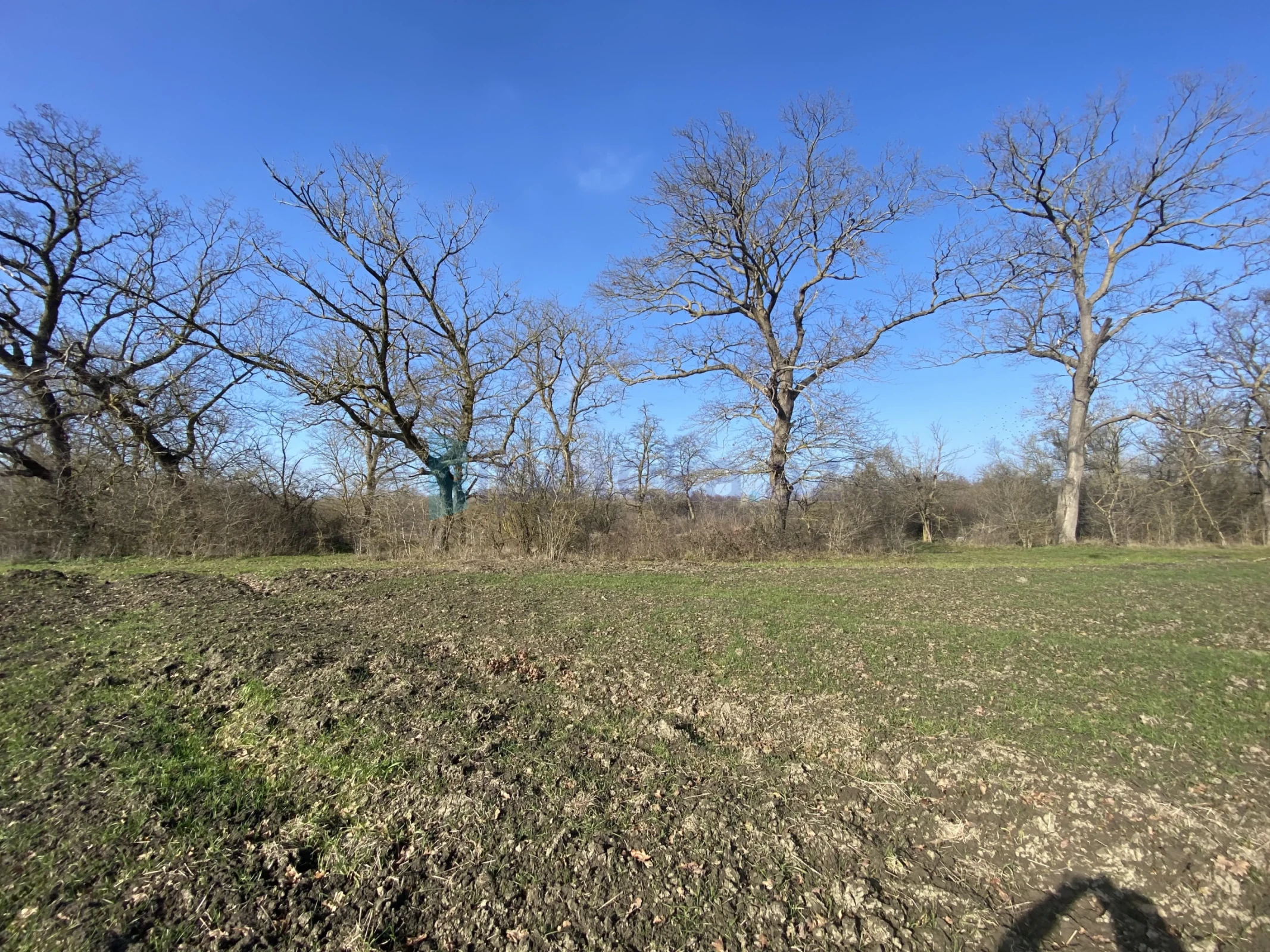 Satılır torpaq sahəsi 108 m²