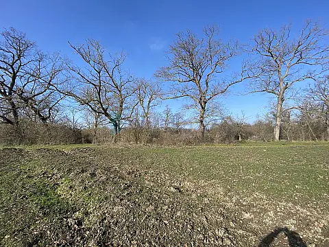 Satılır torpaq sahəsi 108 m²