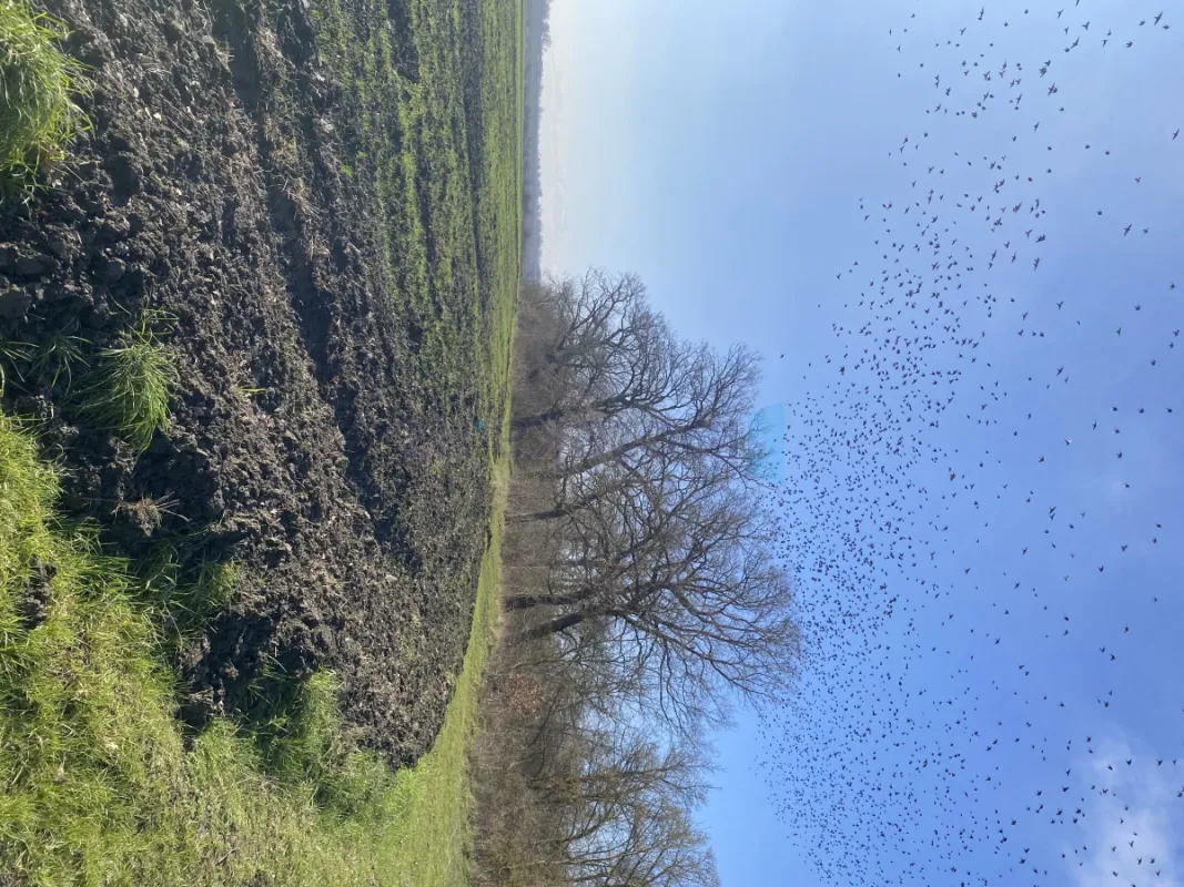 Satılır torpaq sahəsi 108 m²