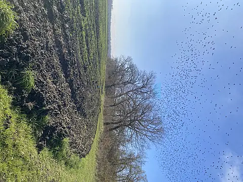 Satılır torpaq sahəsi 108 m²