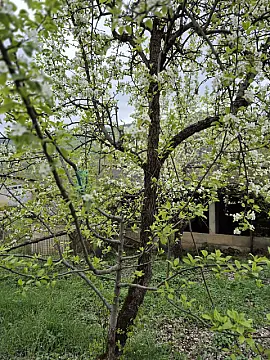 Satılır torpaq sahəsi — Quba