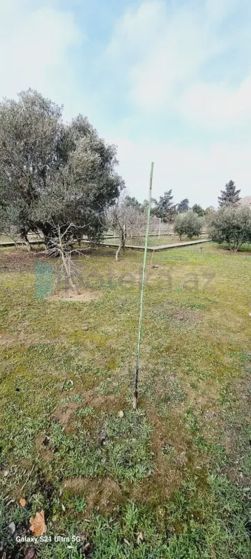 Satılır torpaq sahəsi