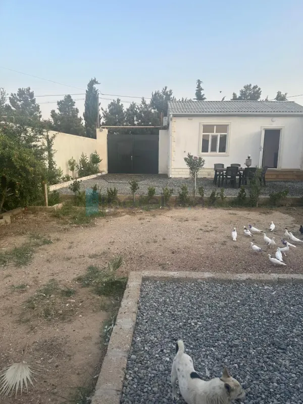 Satılır 2 otaqlı həyət evi 50 m²