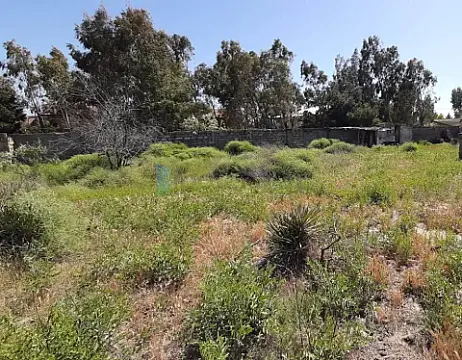 Satılır torpaq sahəsi — Bakı, Xəzər