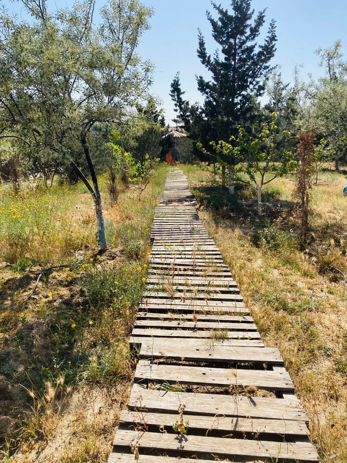 Satılır 6 otaqlı həyət evi 270 m²