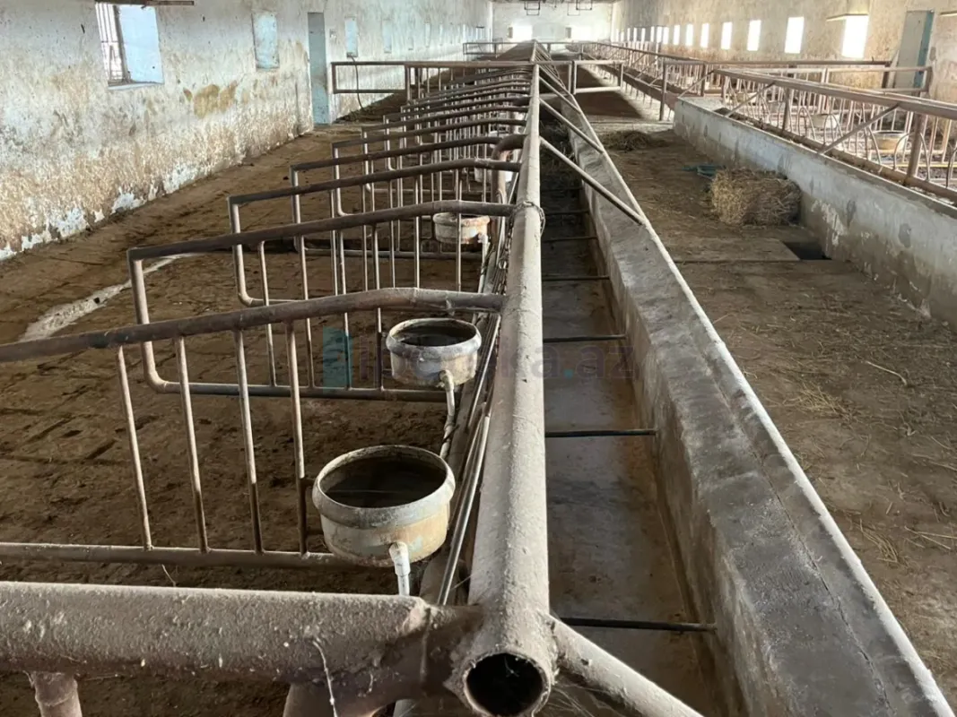 Satılır 1 otaqlı yeni tikili