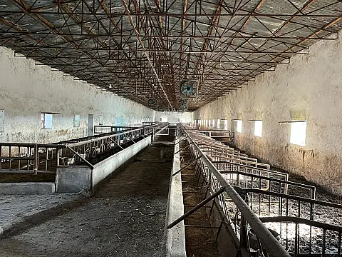 Satılır 1 otaqlı yeni tikili — Şirvan 1 otaq