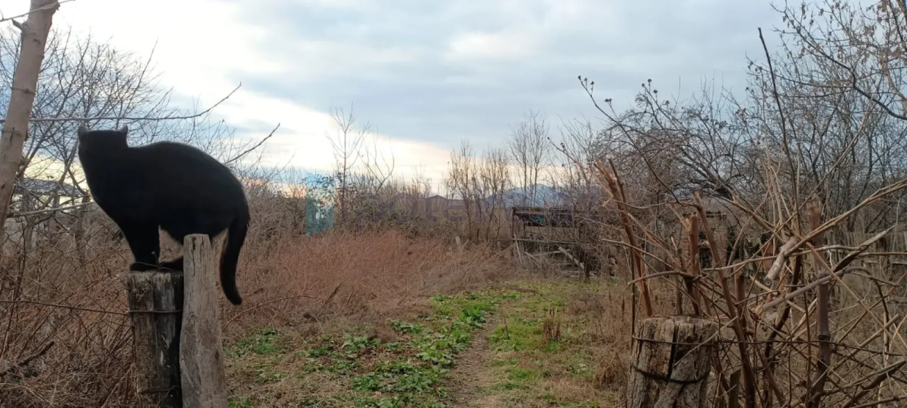 Satılır torpaq sahəsi 14 m²