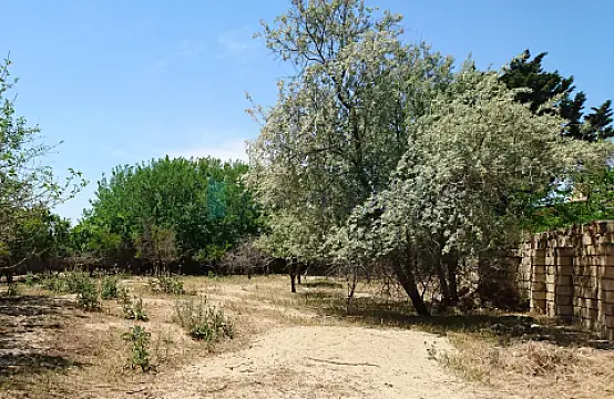 Satılır torpaq sahəsi — Bakı, Abşeron