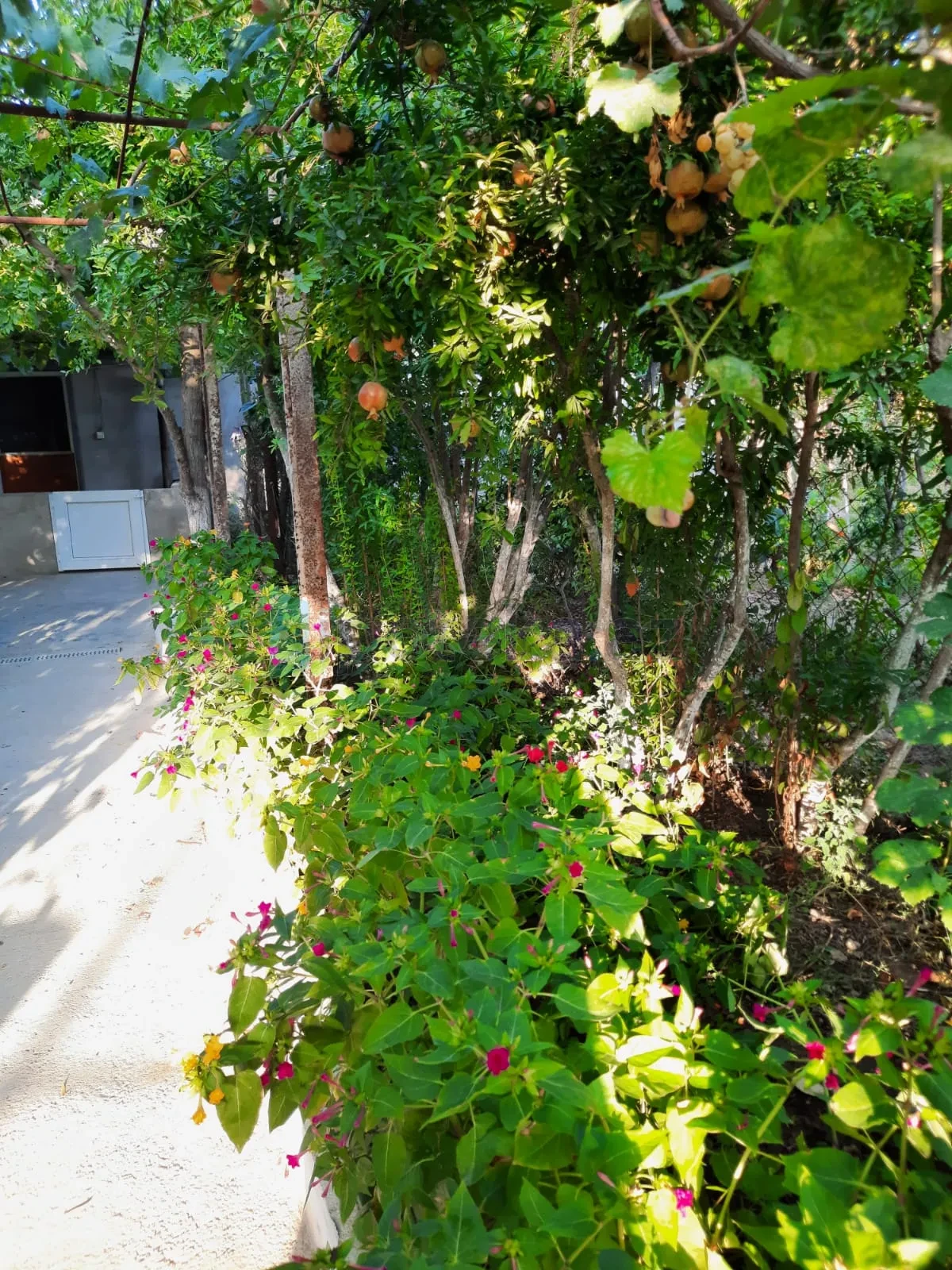 Satılır 6 otaqlı həyət evi 180 m²