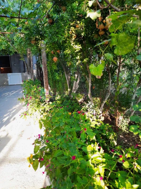 Satılır 6 otaqlı həyət evi 180 m²