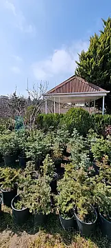 Satılır torpaq sahəsi — Bakı