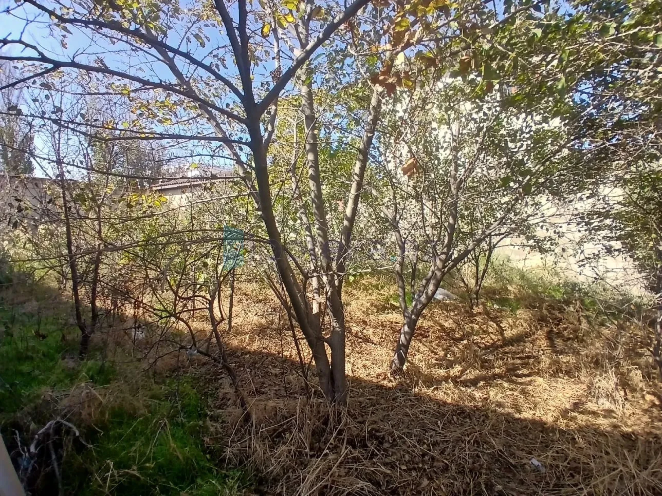 Satılır 5 otaqlı mənzil 300 m²