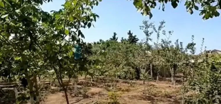 Satılır torpaq sahəsi — Bakı