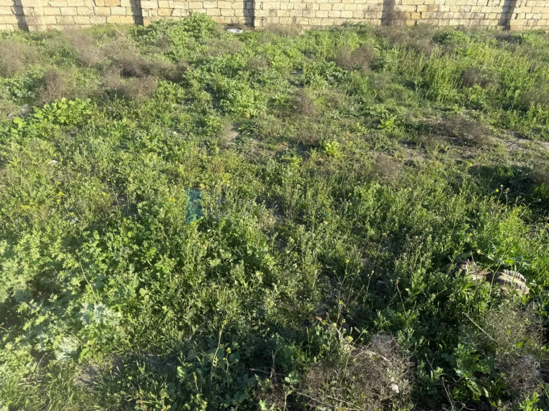 Satılır torpaq sahəsi 6 m²