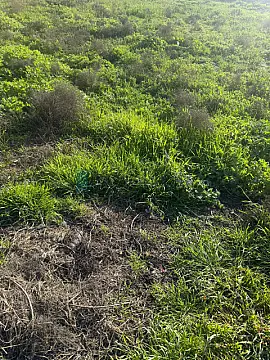 Satılır torpaq sahəsi 6 m²