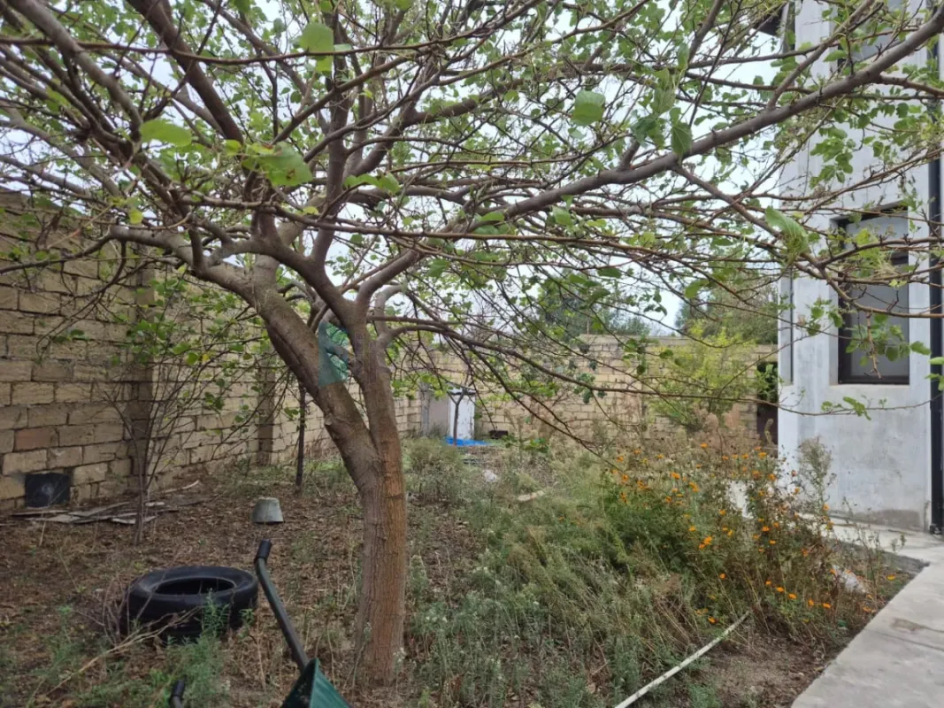 Satılır 4 otaqlı həyət evi