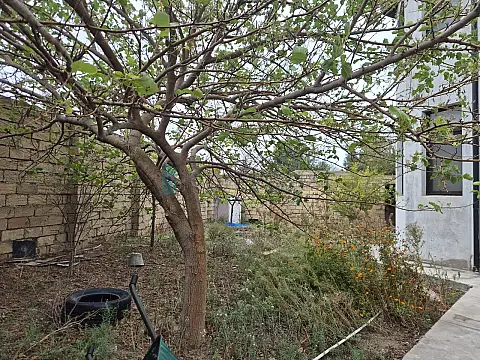 Satılır 4 otaqlı həyət evi