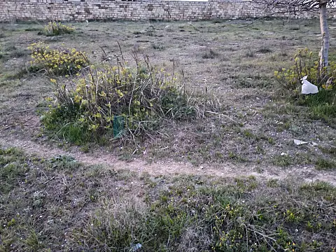 Satılır torpaq sahəsi 2500 m²