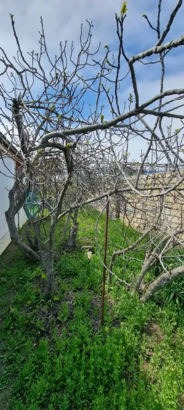 Satılır 3 otaqlı həyət evi 100 m²