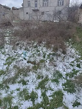 Satılır torpaq sahəsi — Bakı