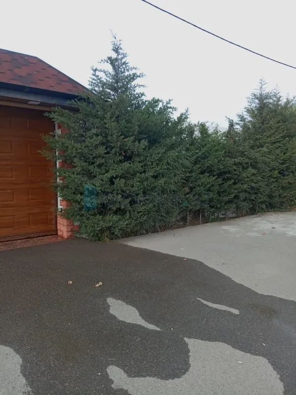 Satılır 5 otaqlı obyekt 300 m²