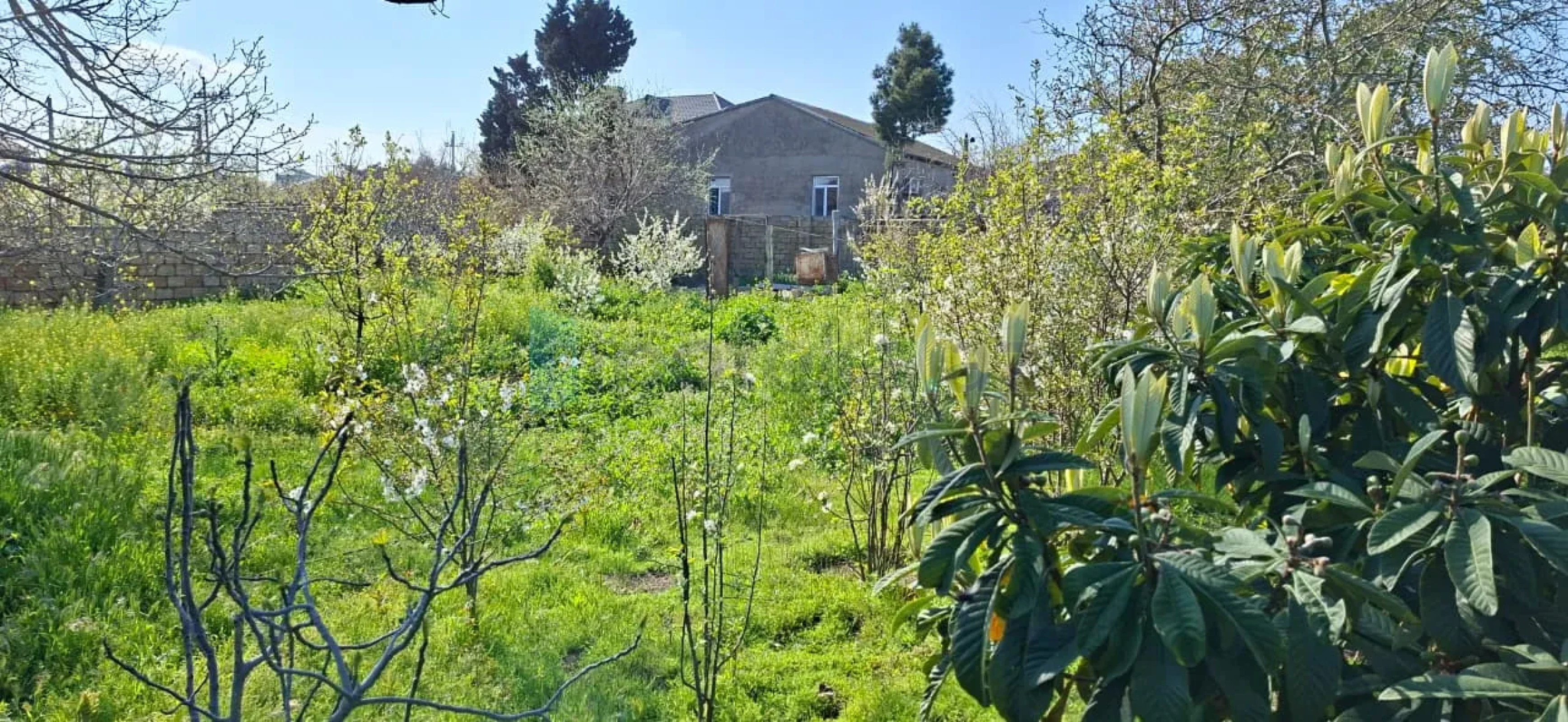 Satılır torpaq sahəsi