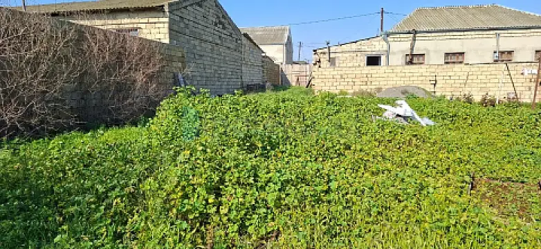 Satılır torpaq sahəsi