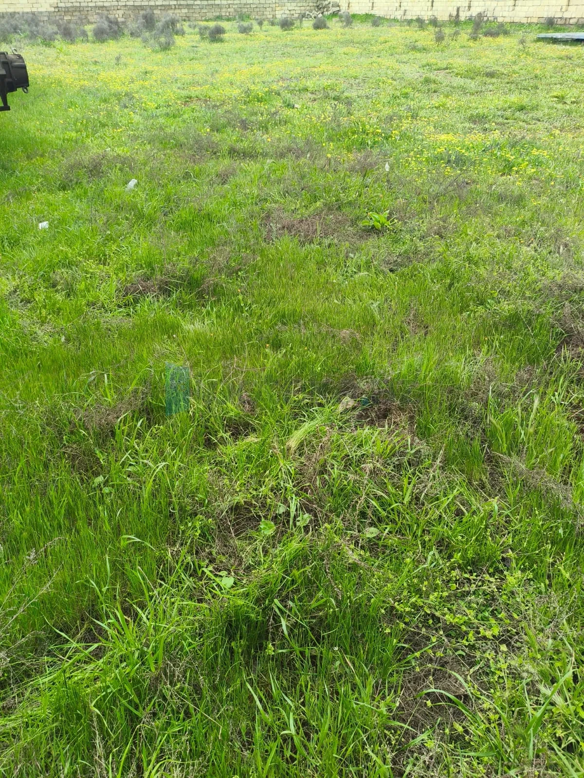 Satılır torpaq sahəsi 10 m²