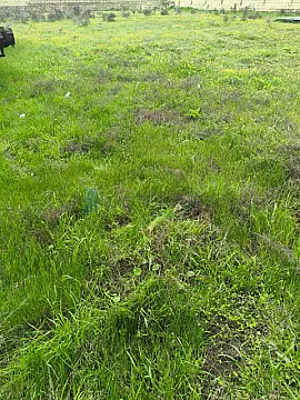 Satılır torpaq sahəsi 10 m²