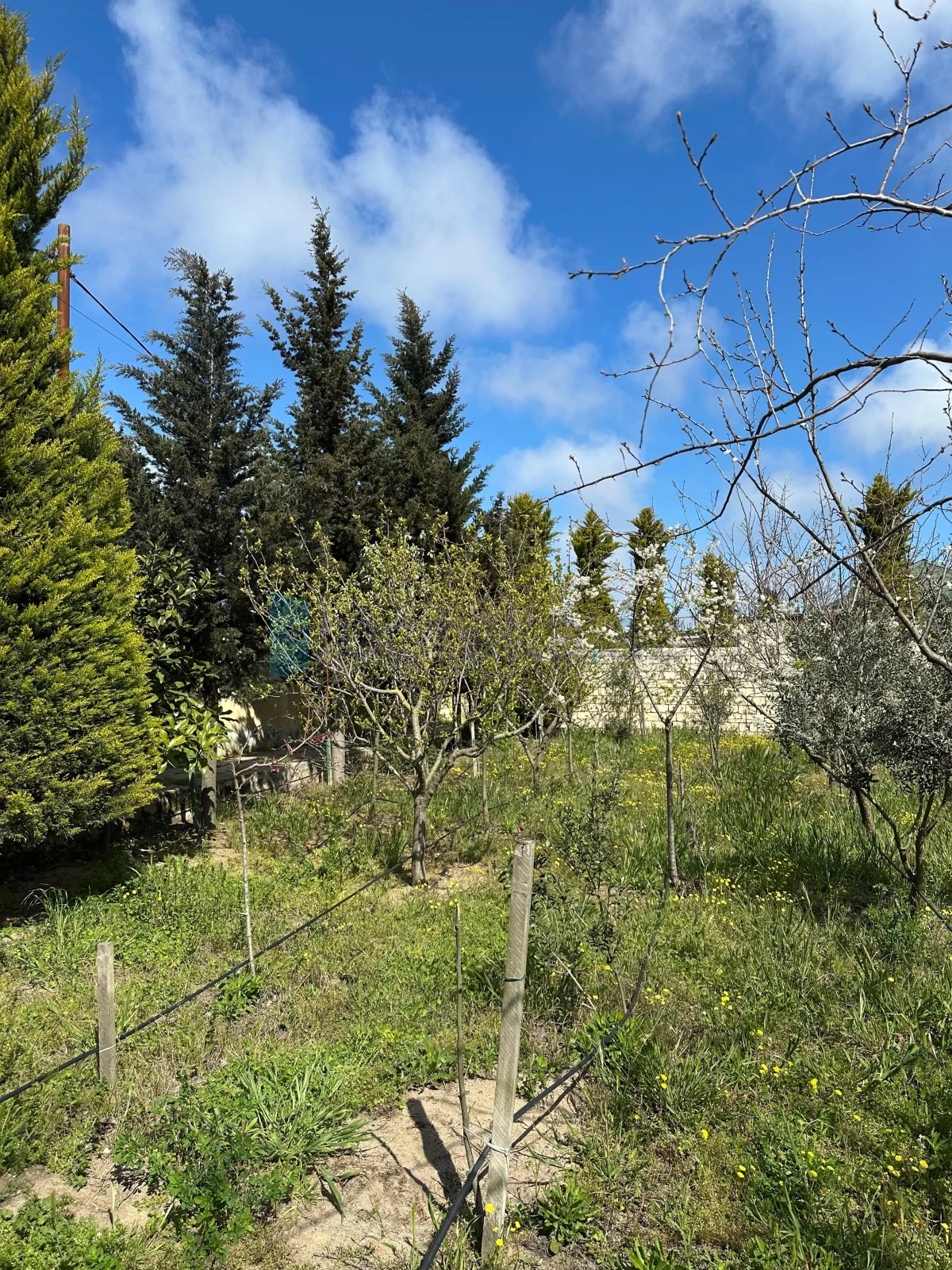 Satılır torpaq sahəsi 9 m²