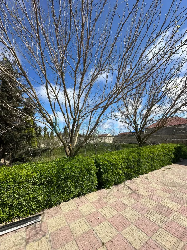 Satılır torpaq sahəsi 9 m²
