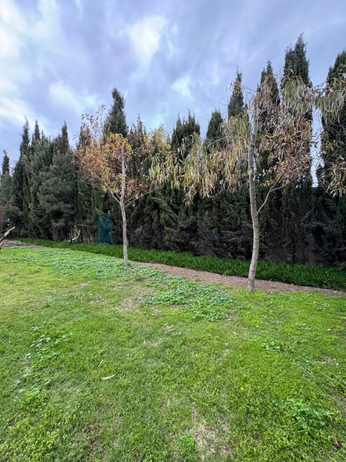 Satılır 8 otaqlı mənzil 450 m²