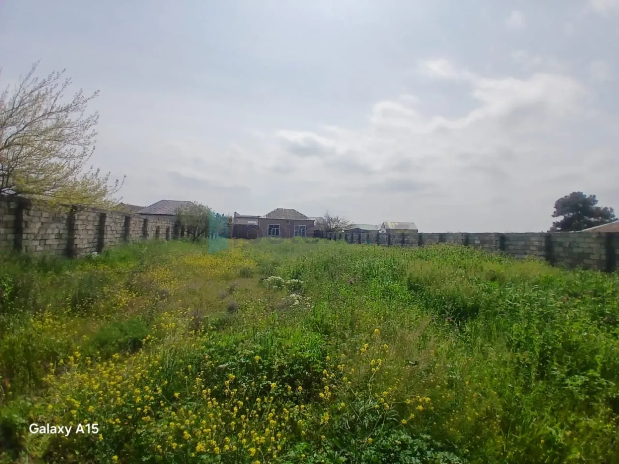 Satılır torpaq sahəsi