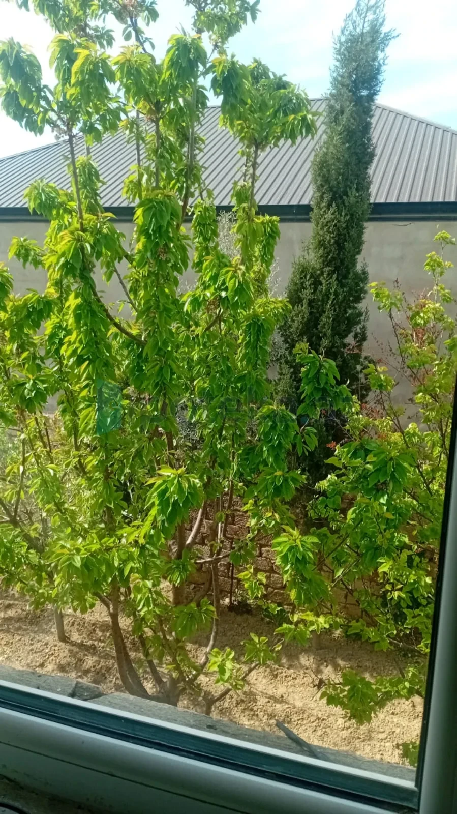 Satılır 4 otaqlı həyət evi 146 m²