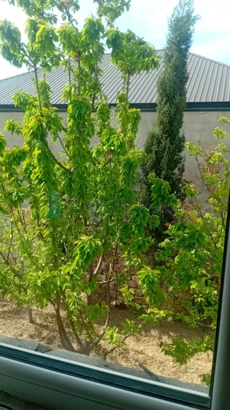 Satılır 4 otaqlı həyət evi 146 m²