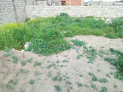 Satılır 2 otaqlı həyət evi 60 m²