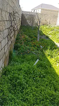 Satılır torpaq sahəsi 3.4 m² — Bakı, Saray 3.40 m²