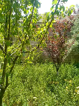 Satılır 3 otaqlı həyət evi 60 m² — Bakı, Buzovna 3 otaq 60.00 m²