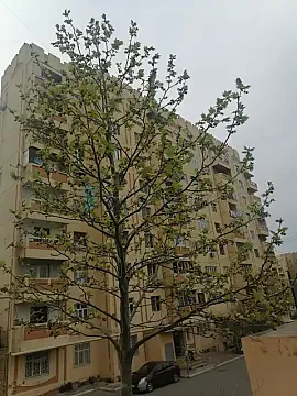 Satılır 4 otaqlı köhnə tikili 107.7 m² — Bakı, Yeni Günəşli 4 otaq 107.70 m²